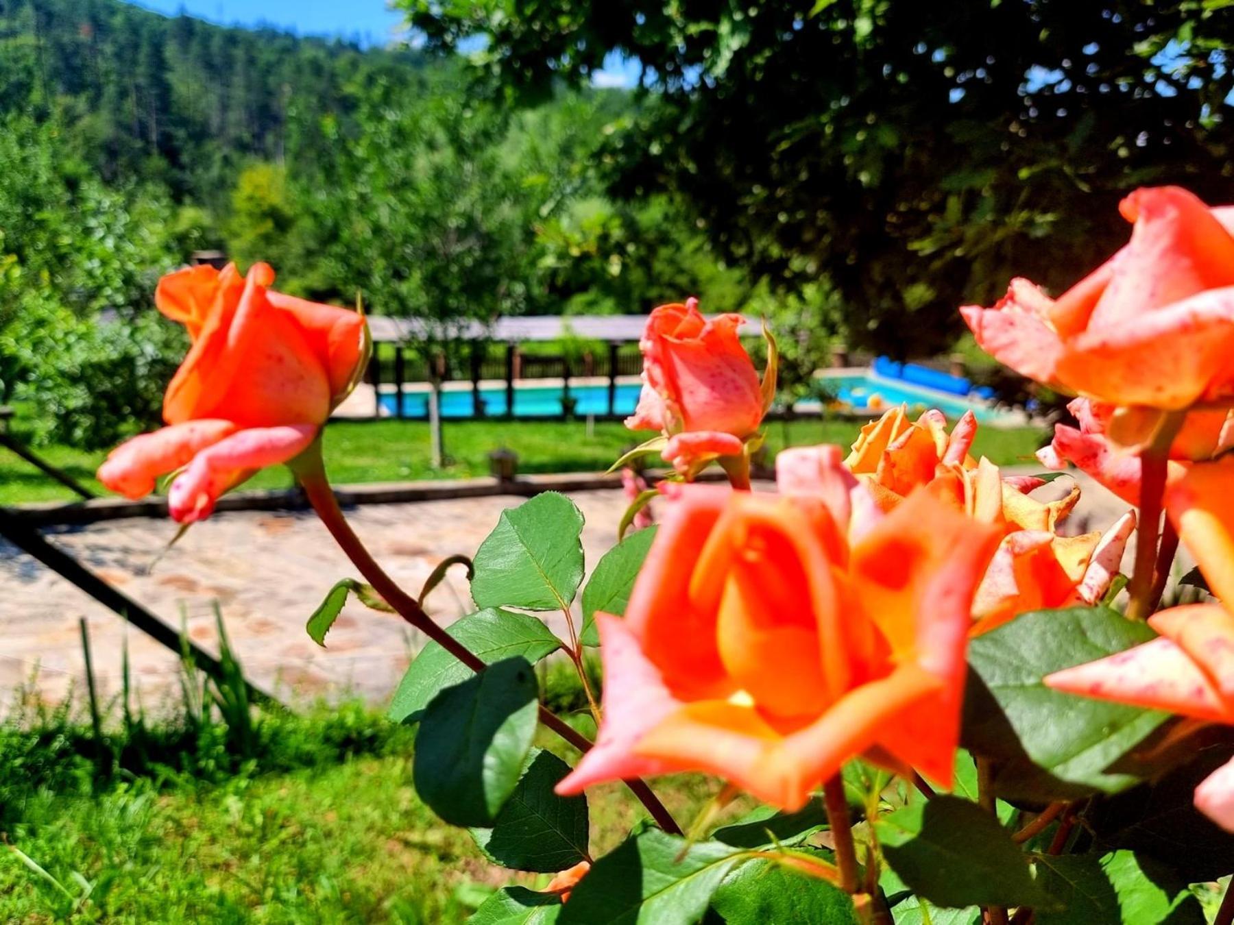 Villa Agriturismo Hidden Paradise Trjawna Exterior foto