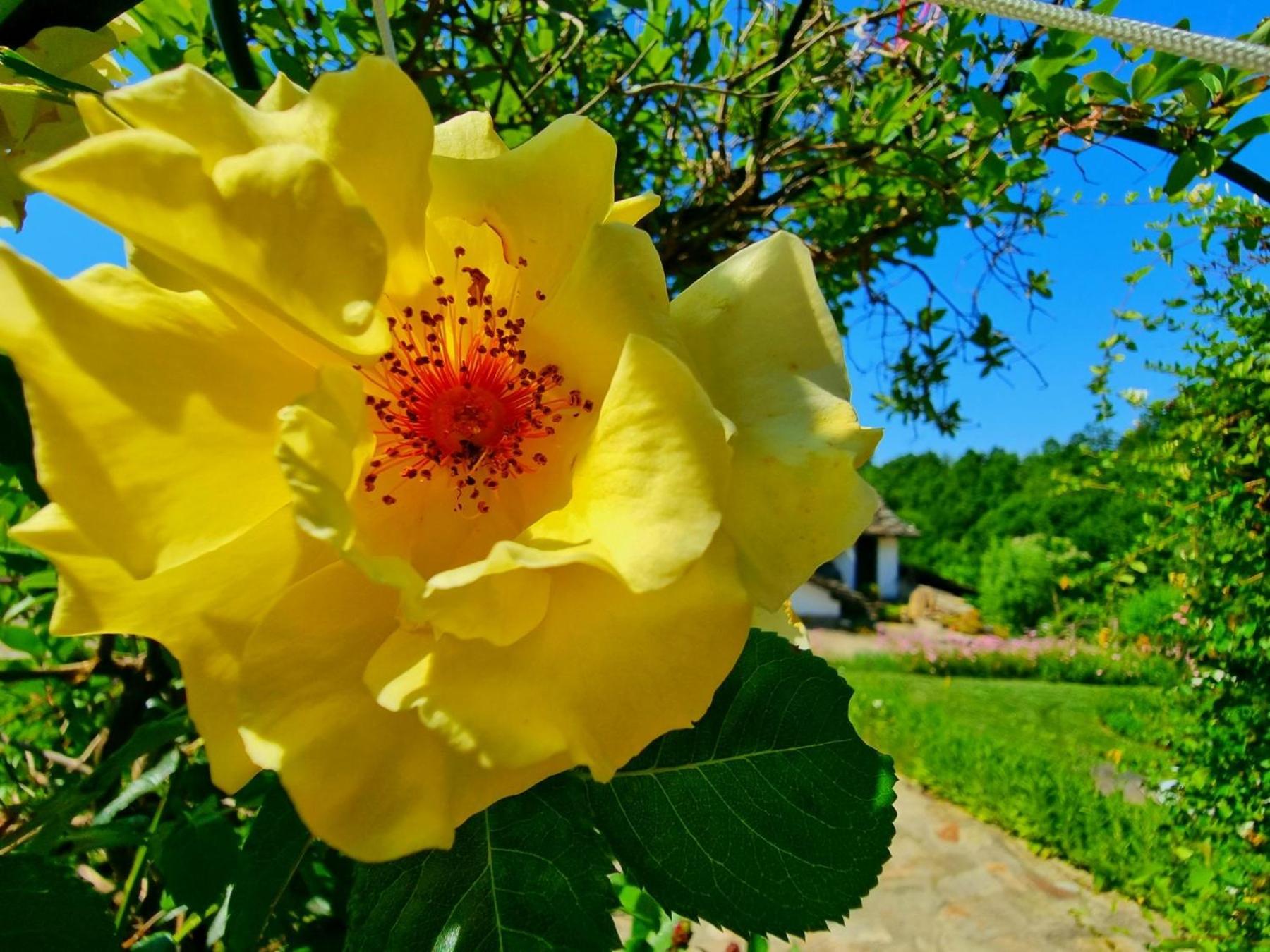 Villa Agriturismo Hidden Paradise Trjawna Exterior foto